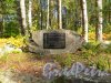 Ленинградская область, Выборгский район, поселок Вещёво. Памятный знак на месте Миконмяки кладбища в Хейнйоки. Фото 6 сентября 2014 года.
