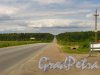 Граница деревня Велигонты со стороны Кольцевой дороги. Вид на Ропшинское шоссе в сторону КАД. Фото 26 июня 2014 года.