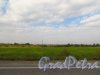 Общий вид на сельскохозяйственные земли «Совхоза имени Тельмана» с Никольского шоссе в районе посёлка Красный Бор. Фото 19 сентября 2014 года.