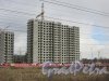 Жилой комплекс «Новая Охта». Строительство жилого дома № 17. Фото 21 марта 2016 года.