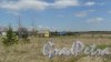 Волосовский район, деревня Арбонье. Панорама населенного пункта со стороны леса в сторону Елизаветино. Фото 2 мая 2016 года.