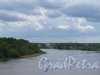 Вид на реку Волхов от урочище Сопки. фото июнь 2017 г.