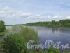 Вид реки Волхов из Крепости «Старая Ладога». фото июнь 2017 г.