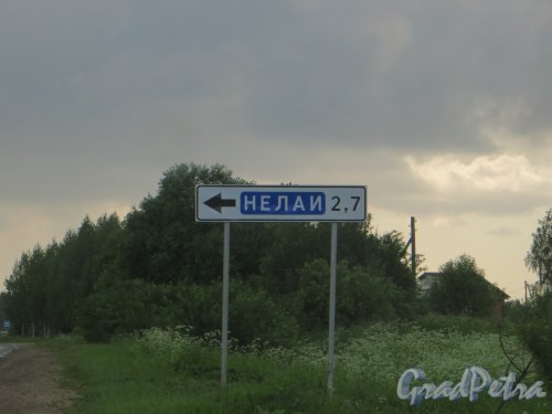 Ленинградская область, Лужский район, указатель поворота к деревне Нелаи от деревни Турово. Фото 7 июня 2014 года.
