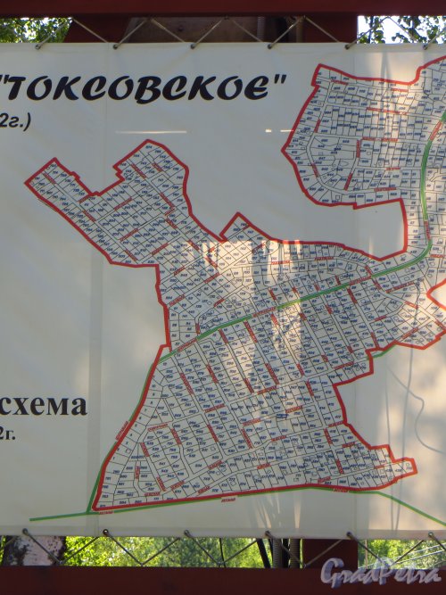 План СНТ «Токсовское». Юго-Западная часть. Фото 8 июля 2014 года.