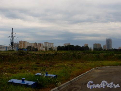 Общий вид поселка Шушары со стороны бензоколонки «Газпромнефть» на Витебском проспекте. Фото 29 июля 2014 года.