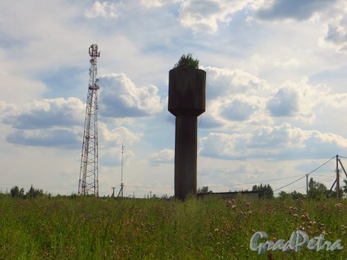Лен. область, Лужский район, дер. Долговка. Водонапорная башня. Фото 20 июля 2014 года.