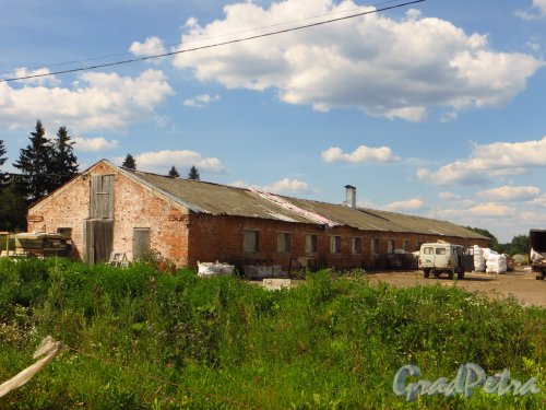 Лен. область, Лужский район, дер. Долговка. Старые постройки сельскохозяйственного назначения. Фото 20 июля 2014 года.