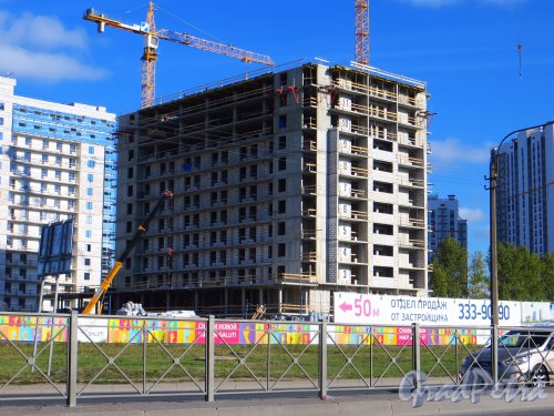 Строительство одного из корпусов апарт-отеля Salut, находящемся на участке северо-восточнее пересечения Дунайского проспекта и Пулковского шоссе. Фото 2 октября 2014 года.
