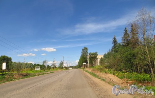 Въезд в деревню Белогорка со стороны деревни Изора. Фото 2 августа 2014 года.