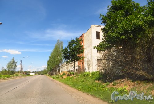 Заброшенные строения при въезде в деревню Белогорка со стороны деревни Изора. Фото 2 августа 2014 года.