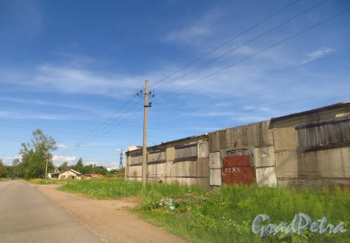 Заброшенные строения при въезде в деревню Белогорка со стороны деревни Изора. Фото 2 августа 2014 года.