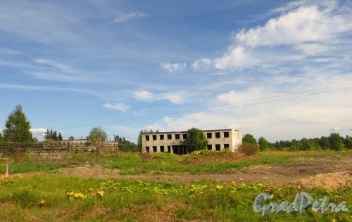 Заброшенное административное здание около разрушенных парников в деревне Белогорка. Фото 2 августа 2014 года.