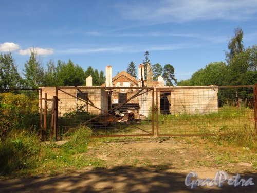 Заброшенное здание в деревне Белогорка. Фото 2 августа 2014 года.
