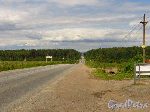 Граница деревня Велигонты со стороны Кольцевой дороги. Вид на Ропшинское шоссе в сторону КАД. Фото 26 июня 2014 года.