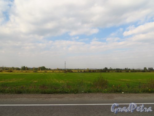 Общий вид на сельскохозяйственные земли «Совхоза имени Тельмана» с Никольского шоссе в районе посёлка Красный Бор. Фото 19 сентября 2014 года.