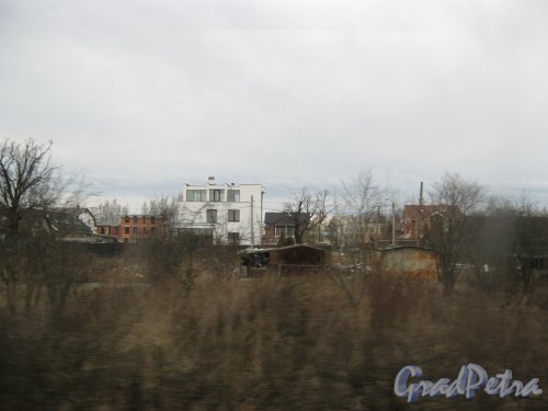 пос. Стрельна. Частный сектор в районе Красносельского и Санкт-Петербургского шоссе. Фото из окна 36 трамвая . Фото 9 апреля 2015 г.