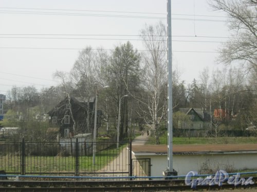 г. Пушкин, Транспортная улица. Общий вид с пригородной платформы г. Павловск. Фото 1 мая 2015 г.