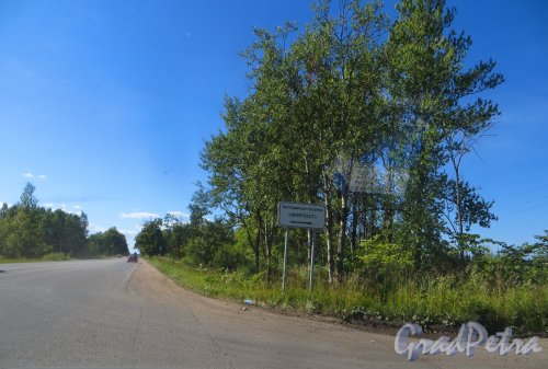 Указатель поворота в сторону коттеджного посёлка «Форпост» со стороны Красносельского шоссе. Фото 20 августа 2015 года.