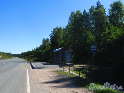 Остановка СНТ «Большой Лог» на трассе Е-18 «Скандинавия». Фото 17 августа 2015 года.