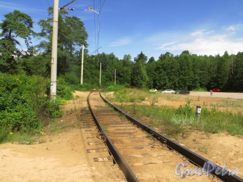 «Железнодорожная петля» в районе Сестрорецкого Курорта. Фото 23 июля 2015 года.