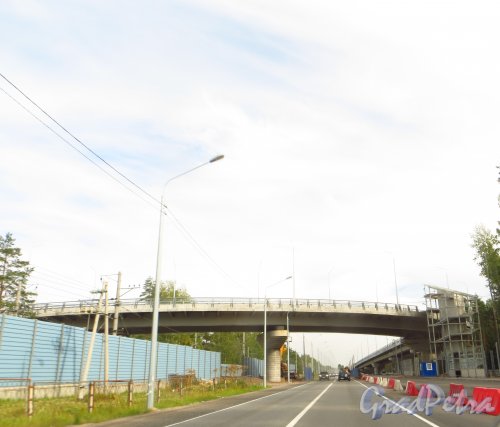 Строительство развязки Зеленогорского шоссе над железнодорожными путями в районе посёлка Репино. Фото 25 августа 2015 года.