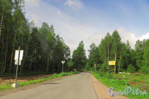 Дорога в сторону коттеджных поселков «Репинская усадьба», «Новый Мир», «Polianka», «Hilltop Village», СНТ «Сестроречье» от трассы Е-18 «Скандинавия». Фото 23 июля 2015 года.