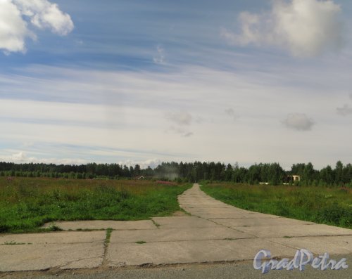 Общий вид территории будущего коттеджного посёлка «Сестроречье». Фото 23 июля 2015 года.