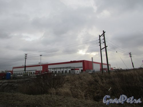посёлок Шушары, территория предприятия «Шушары», участок 110 (Бадаевское). Новый складской комплекс на участке. Фото 22 декабря 2015 года.
