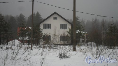 Поселок Решетниково, дом 48. Фото 7 февраля 2016 год.