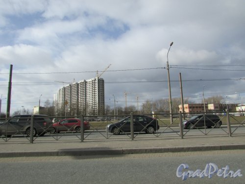 Строительство жилого комплекса «ЗимаЛето». Вид на участок со стороны проспекта Косыгина. Фото 20 марта 2016 года.