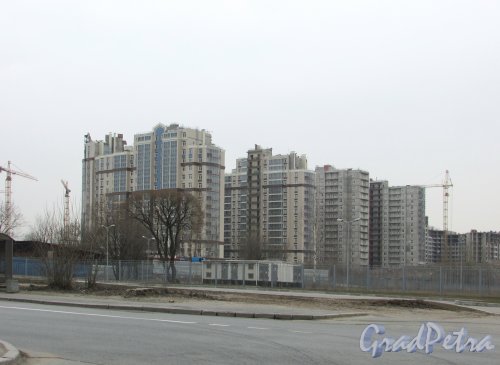 Строительство жилого комплекса «Город мастеров». Вид с Полюстровского проспекта. Фото 26 марта 2016 года.