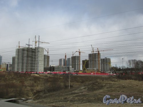 Строительство домов 17-23 жилого комплекса «Новая Охта». Фото 21 марта 2016 года.