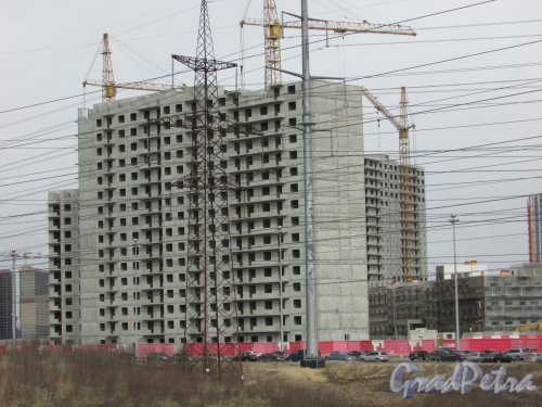 Жилой комплекс «Новая Охта». Строительство жилого дома № 17. Фото 21 марта 2016 года.