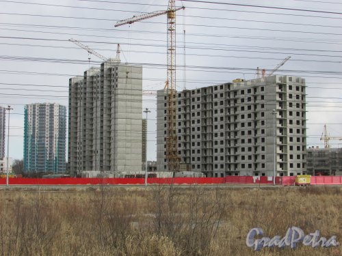 Строительство жилых домов ЖК «Новая Охта» в квартале между проспектом Маршака и улицей Корнея Чуковского и рекоц Охтой. Фото 21 марта 2016 года.
