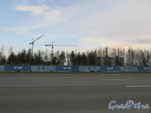 Участок до строительства ЖК «Новоорловский». Фото 21 марта 2016 года.