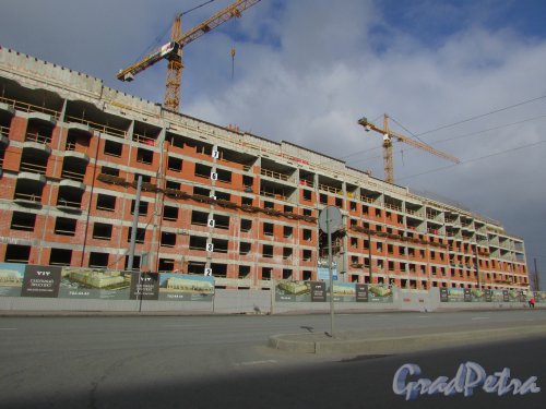Строительство жилого комплекса «Смольный проспект». Общий вид строительства со стороны Тульской улицы. Фото 16 марта 2016 года.