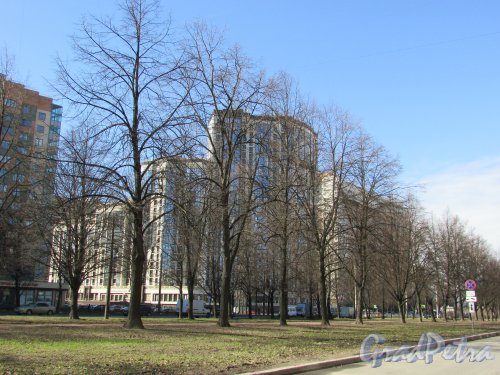 Общий вид жилого комплекса «Гранд Фамилия» со стороны проспекта Космонавтов. Фото 16 апреля 2016 года.