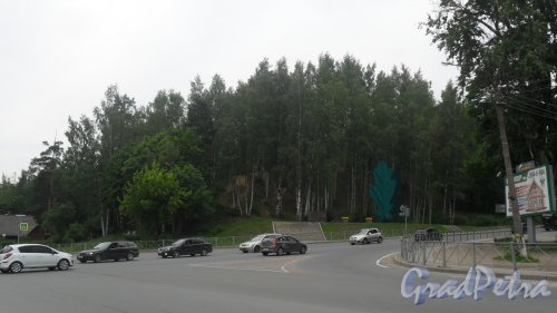 Всеволожск, Румболовская гора. Вид с пересечения Колтушского шоссе и шоссе Дорога Жизни. Фото 29 июня 2016 года.
