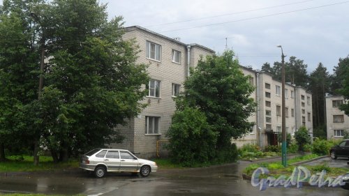 Поселок Решетниково, дом 3. 3-этажный жилой дом 1972 года постройки. 3 парадные, 27 квартир. Фото 16 июля 2016 года.