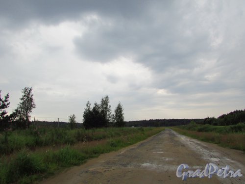 Дорога от коттеджного посёлка «Кокосы» в сторону Мурманского шоссе. Фото 15 июля 2016 года.