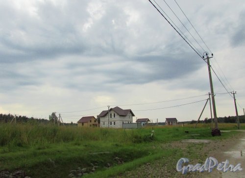 Коттеджный посёлок «Кокосы». Несколько построенных частных домов. Фото 15 июля 2016 года.