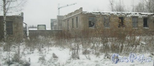 пос. Торики, территория аэродрома «Горелово». Фрагмент территории и полуразрушенных зданий. Фото 6 ноября 2016 г.