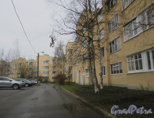 посёлок Шушары, Пулковское, дом 31, литера А. Общий вид жилого дома со стороны двора. Фото 30 октября 2016 года.
