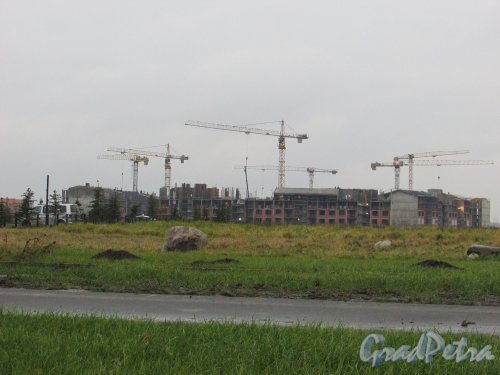 Строительство жилого комплекса «Трио» возводимого в рамках проекта комплексной застройки территории «На Царскосельских холмах». Фото 30 октября 2016 года.