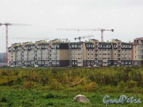 Строительство ЖК «Пушгород» в рамках проекта «На Царскосельских холмах». Фото 30 октября 2016 года.