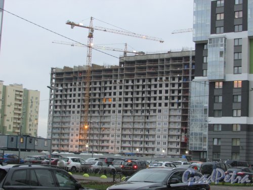 Строительство жилого дома в составе ЖК «Кирилл и Марья». Фото 8 ноября 2018 года.
