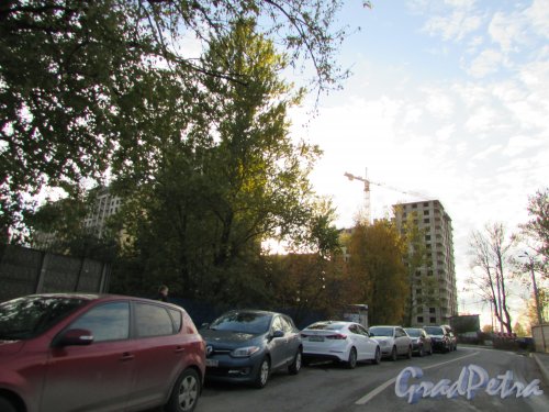 Малая Митрофаньевская улица. Вид на строящиеся корпуса ЖК «Галактика премиум». Фото 15 октября 2019 года.