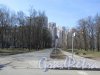 Подъезд к ЖК «Viva» со стороны Московского шоссе. Фото 7 апреля 2020 г.