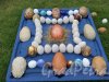 ЦПКиО. Елагин остров, Восточная поляна. Выставка под открытым небом «Стекло и керамика в пейзаже». Композиция «Пасхальные яйца». фото июнь 2015 г